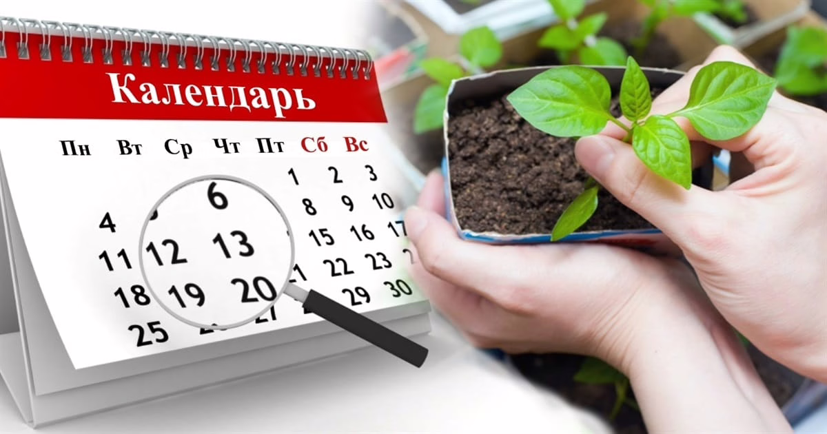 посівний календар Посівний календар на травень 2025