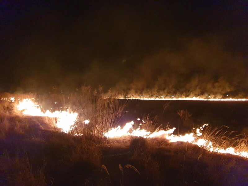 Пожежі на Ковельщині Пожежі на Ковельщині: Зелена, Борзова, Волиця